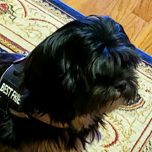 Rescue Updates. - Picture 9 of 13